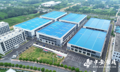 “阜阳制”系列报道⑫