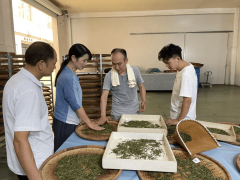 芒种关心 三茶统筹·三化互动 【大佛龙井】茶叶